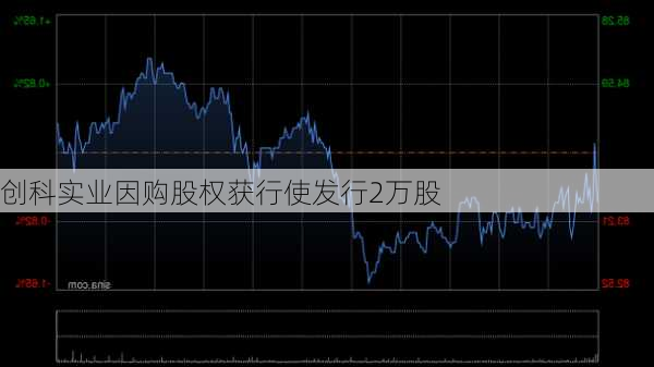 创科实业因购股权获行使发行2万股