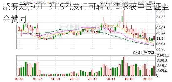 聚赛龙(301131.SZ)发行可转债请求获中国证监会赞同