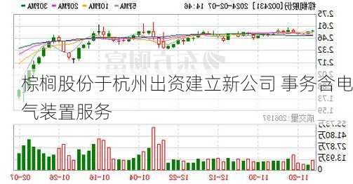 棕榈股份于杭州出资建立新公司 事务含电气装置服务