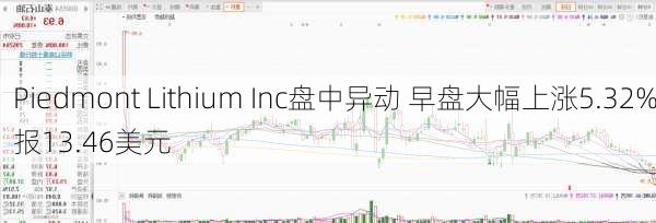 Piedmont Lithium Inc盘中异动 早盘大幅上涨5.32%报13.46美元-第2张图片-