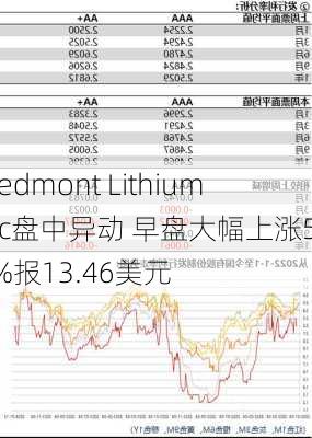 Piedmont Lithium Inc盘中异动 早盘大幅上涨5.32%报13.46美元-第1张图片-