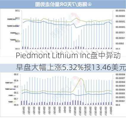 Piedmont Lithium Inc盘中异动 早盘大幅上涨5.32%报13.46美元-第3张图片-