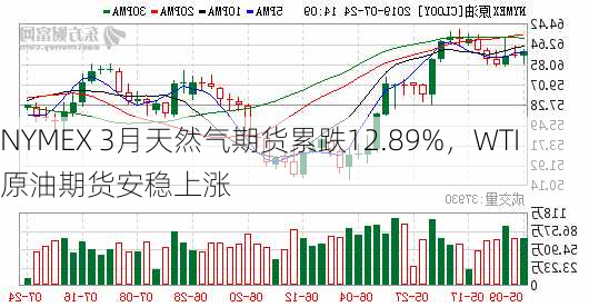 NYMEX 3月天然气期货累跌12.89%，WTI原油期货安稳上涨