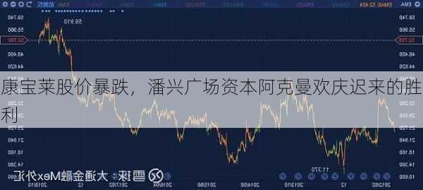 康宝莱股价暴跌，潘兴广场资本阿克曼欢庆迟来的胜利-第3张图片-
