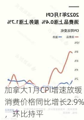 加拿大1月CPI增速放缓消费价格同比增长2.9%，环比持平-第1张图片-