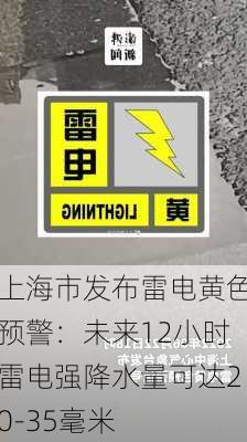 上海市发布雷电黄色预警：未来12小时雷电强降水量可达20-35毫米