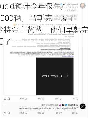 Lucid预计今年仅生产9000辆，马斯克：没了沙特金主爸爸，他们早就完蛋了-第1张图片-