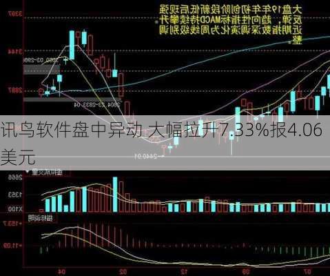 讯鸟软件盘中异动 大幅拉升7.33%报4.06美元-第3张图片-