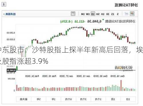 中东股市：沙特股指上探半年新高后回落，埃及股指涨超3.9%-第1张图片-