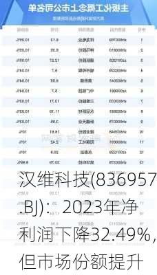 汉维科技(836957.BJ)：2023年净利润下降32.49%，但市场份额提升-第2张图片-