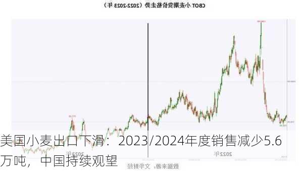 美国小麦出口下滑：2023/2024年度销售减少5.6万吨，中国持续观望-第2张图片-