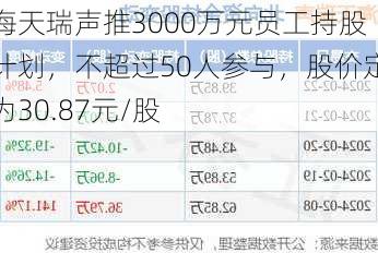 海天瑞声推3000万元员工持股计划，不超过50人参与，股价定为30.87元/股