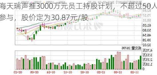 海天瑞声推3000万元员工持股计划，不超过50人参与，股价定为30.87元/股-第3张图片-