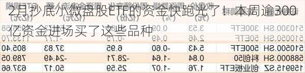 2月抄底小微盘股ETF的资金快跑光了！本周逾300亿资金进场买了这些品种-第3张图片-