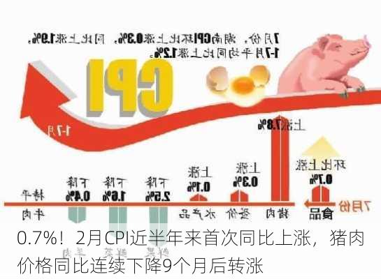 0.7%！2月CPI近半年来首次同比上涨，猪肉价格同比连续下降9个月后转涨-第1张图片-