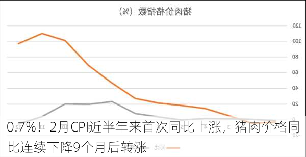 0.7%！2月CPI近半年来首次同比上涨，猪肉价格同比连续下降9个月后转涨-第2张图片-