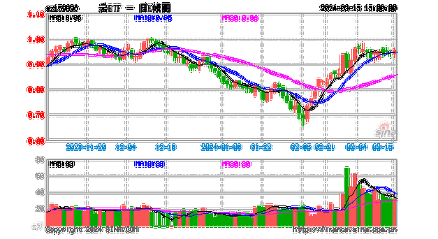 CPO概念板块飙升！北向资金与游资联手，3月15日涨幅超10%-第1张图片-