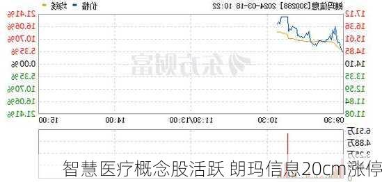 智慧医疗概念股活跃 朗玛信息20cm涨停-第2张图片-