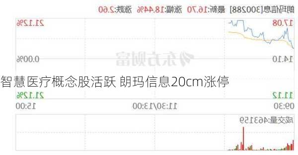 智慧医疗概念股活跃 朗玛信息20cm涨停-第1张图片-