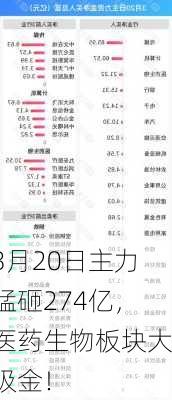 3月20日主力猛砸274亿，医药生物板块大吸金！