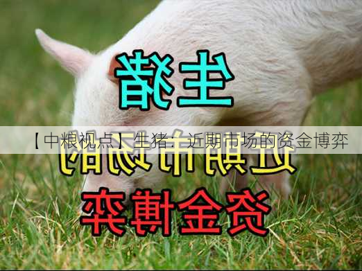 【中粮视点】生猪：近期市场的资金博弈