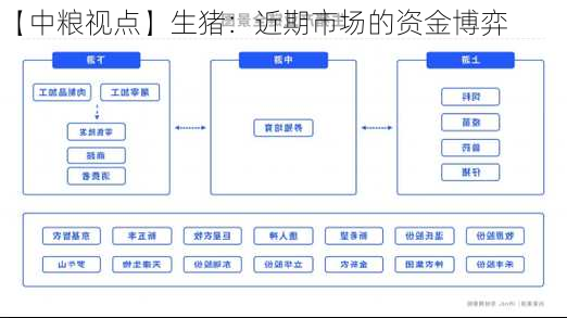 【中粮视点】生猪：近期市场的资金博弈-第3张图片-