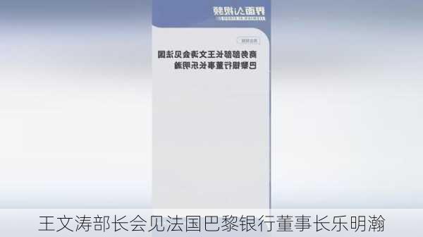 王文涛部长会见法国巴黎银行董事长乐明瀚-第2张图片-