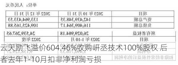 云天励飞溢价604.46%收购岍丞技术100%股权 后者去年1-10月扣非净利润亏损-第3张图片-