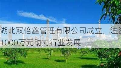 湖北双倍鑫管理有限公司成立，注资1000万元助力行业发展-第1张图片-