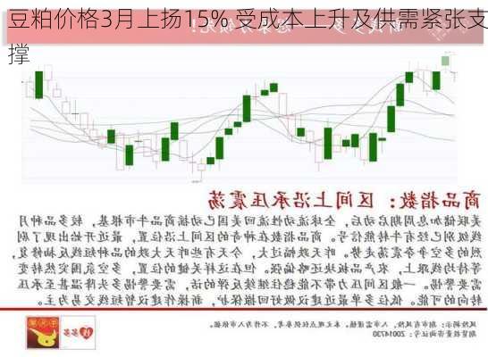 豆粕价格3月上扬15% 受成本上升及供需紧张支撑-第1张图片-