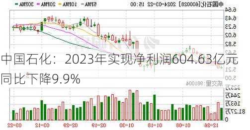 中国石化：2023年实现净利润604.63亿元 同比下降9.9%-第2张图片-