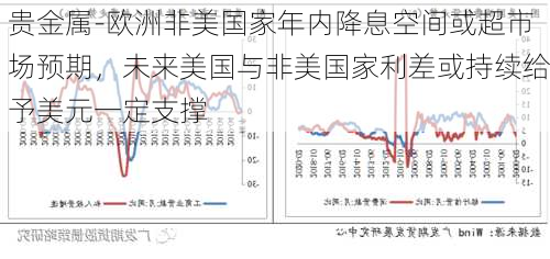 贵金属-欧洲非美国家年内降息空间或超市场预期，未来美国与非美国家利差或持续给予美元一定支撑-第3张图片-