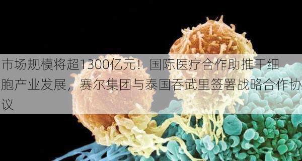 市场规模将超1300亿元！国际医疗合作助推干细胞产业发展，赛尔集团与泰国吞武里签署战略合作协议-第3张图片-