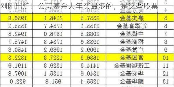 刚刚出炉！公募基金去年买最多的，是这些股票-第1张图片-