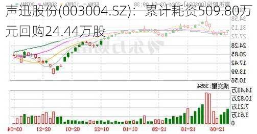 声迅股份(003004.SZ)：累计耗资509.80万元回购24.44万股-第1张图片-