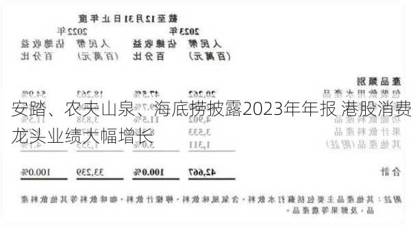 安踏、农夫山泉、海底捞披露2023年年报 港股消费龙头业绩大幅增长-第2张图片-