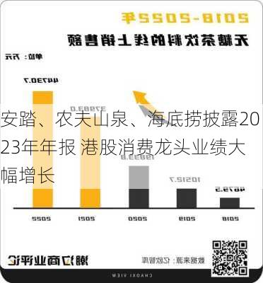 安踏、农夫山泉、海底捞披露2023年年报 港股消费龙头业绩大幅增长-第3张图片-