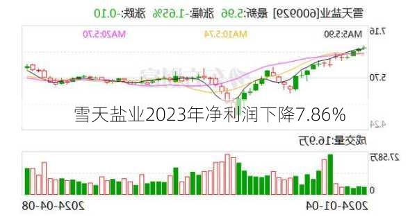 雪天盐业2023年净利润下降7.86%-第1张图片-