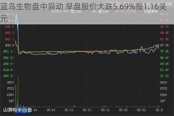 蓝鸟生物盘中异动 早盘股价大跌5.69%报1.16美元-第2张图片-