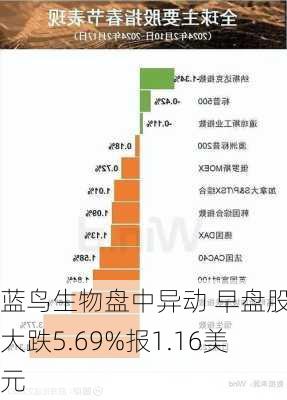 蓝鸟生物盘中异动 早盘股价大跌5.69%报1.16美元-第3张图片-