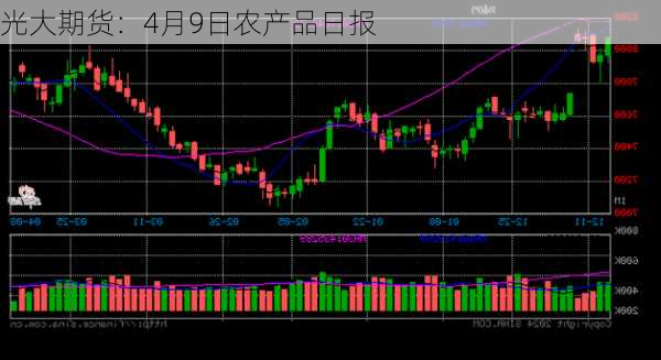 光大期货：4月9日农产品日报-第3张图片-