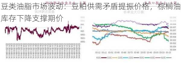 豆类油脂市场波动：豆粕供需矛盾提振价格，棕榈油库存下降支撑期价-第2张图片-