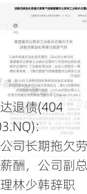 鸿达退债(404003.NQ)：因公司长期拖欠劳动薪酬，公司副总经理林少韩辞职