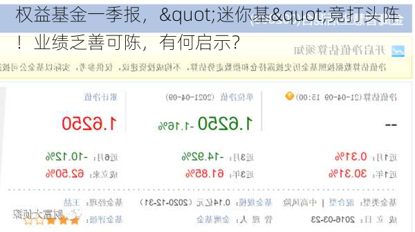 权益基金一季报，"迷你基"竟打头阵！业绩乏善可陈，有何启示？-第3张图片-