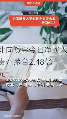 北向资金今日净买入贵州茅台2.48亿元-第1张图片-