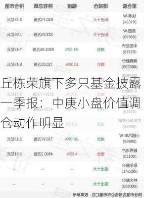 丘栋荣旗下多只基金披露一季报：中庚小盘价值调仓动作明显-第1张图片-