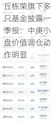 丘栋荣旗下多只基金披露一季报：中庚小盘价值调仓动作明显-第2张图片-