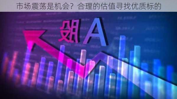 市场震荡是机会？合理的估值寻找优质标的-第1张图片-