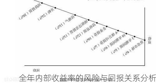 全年内部收益率的风险与回报关系分析-第2张图片-