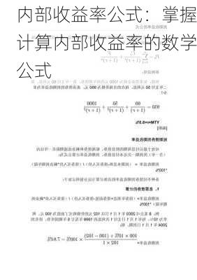 内部收益率公式：掌握计算内部收益率的数学公式-第2张图片-